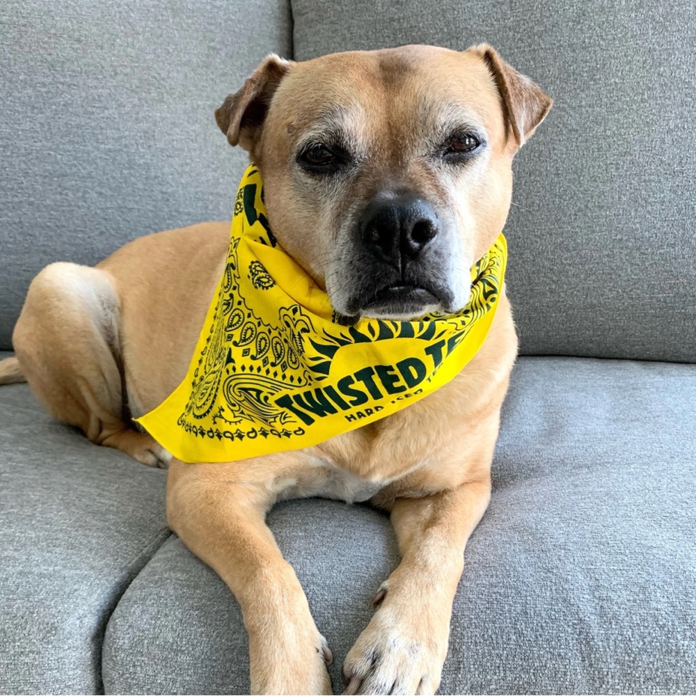Bandana